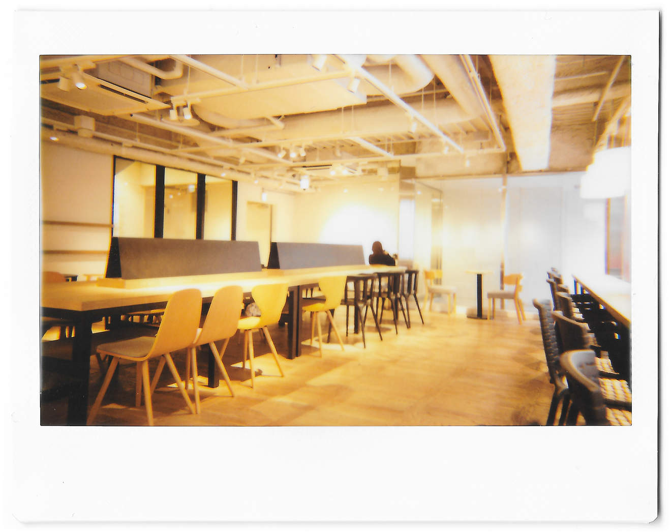 Instant photo for Day 99 of “A Year in an Instant” by Nuno Coelho Santos