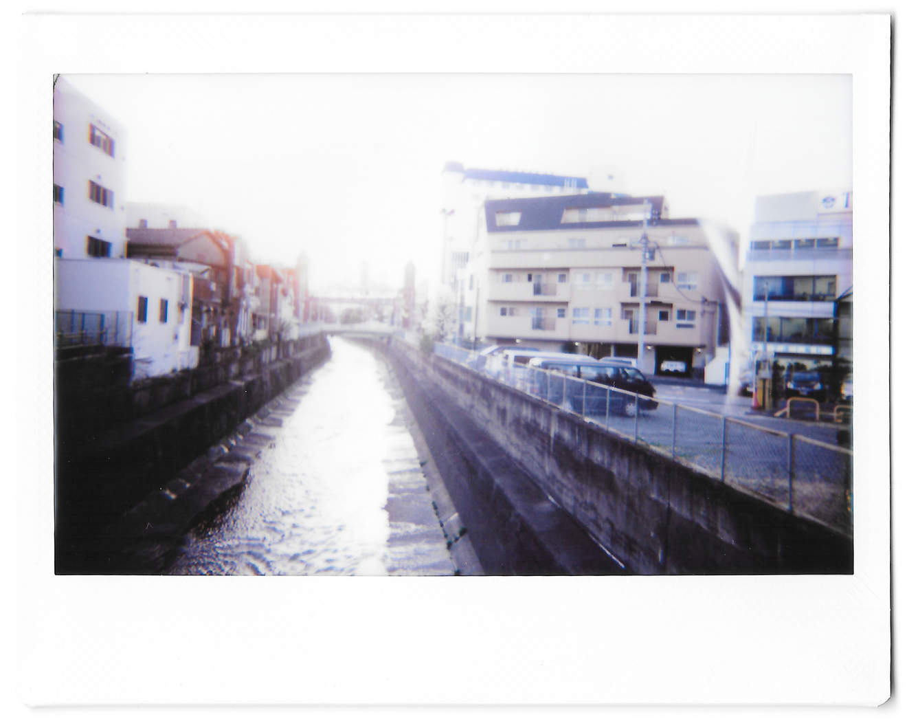 Instant photo for Day 126 of “A Year in an Instant” by Nuno Coelho Santos