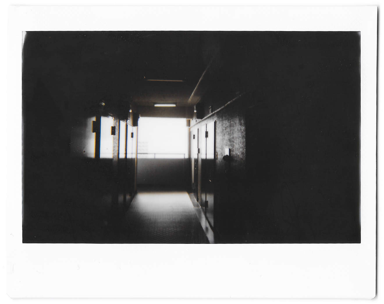 Instant photo for Day 129 of “A Year in an Instant” by Nuno Coelho Santos