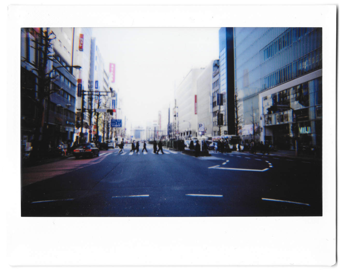 Instant photo for Day 132 of “A Year in an Instant” by Nuno Coelho Santos