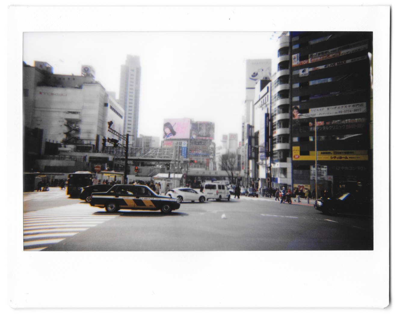 Instant photo for Day 155 of “A Year in an Instant” by Nuno Coelho Santos