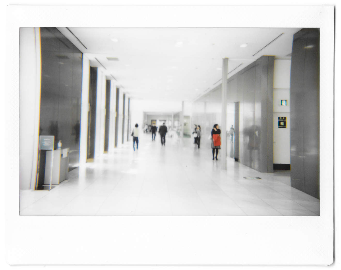 Instant photo for Day 156 of “A Year in an Instant” by Nuno Coelho Santos