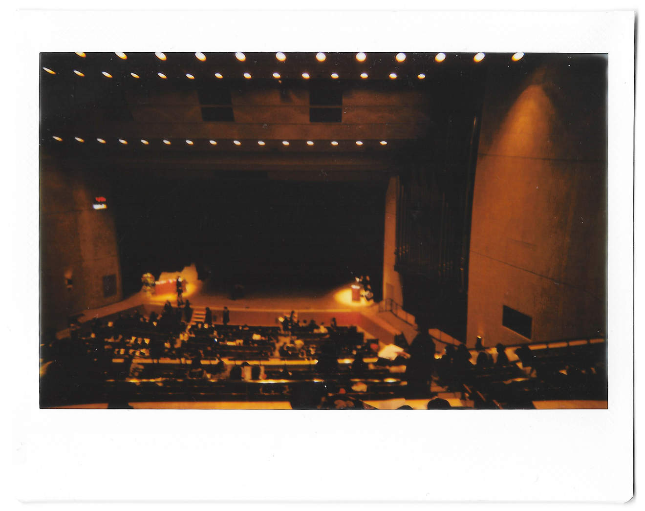 Instant photo for Day 164 of “A Year in an Instant” by Nuno Coelho Santos