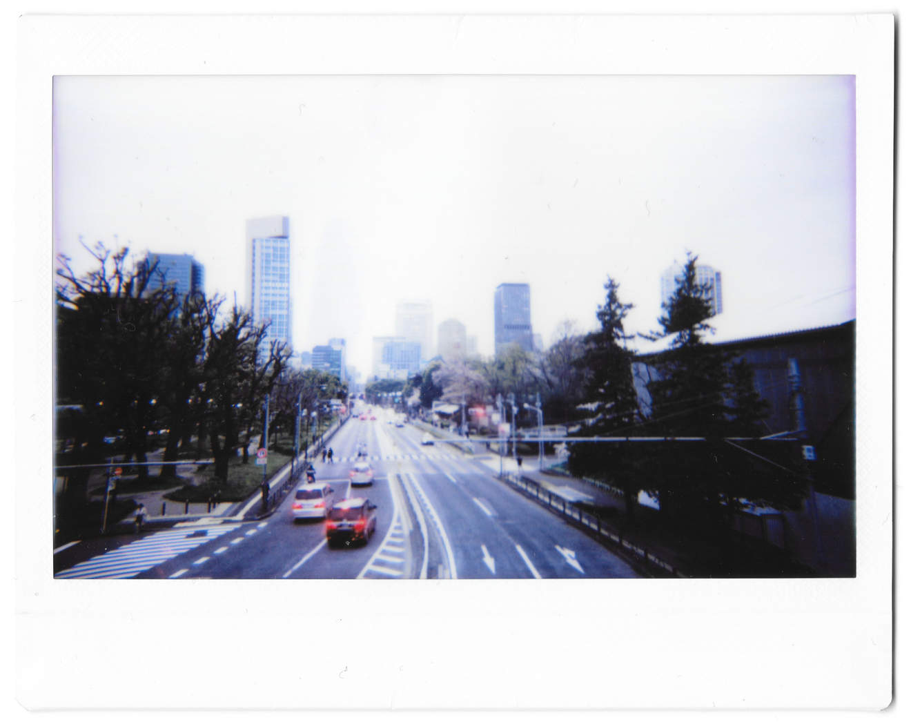 Instant photo for Day 169 of “A Year in an Instant” by Nuno Coelho Santos