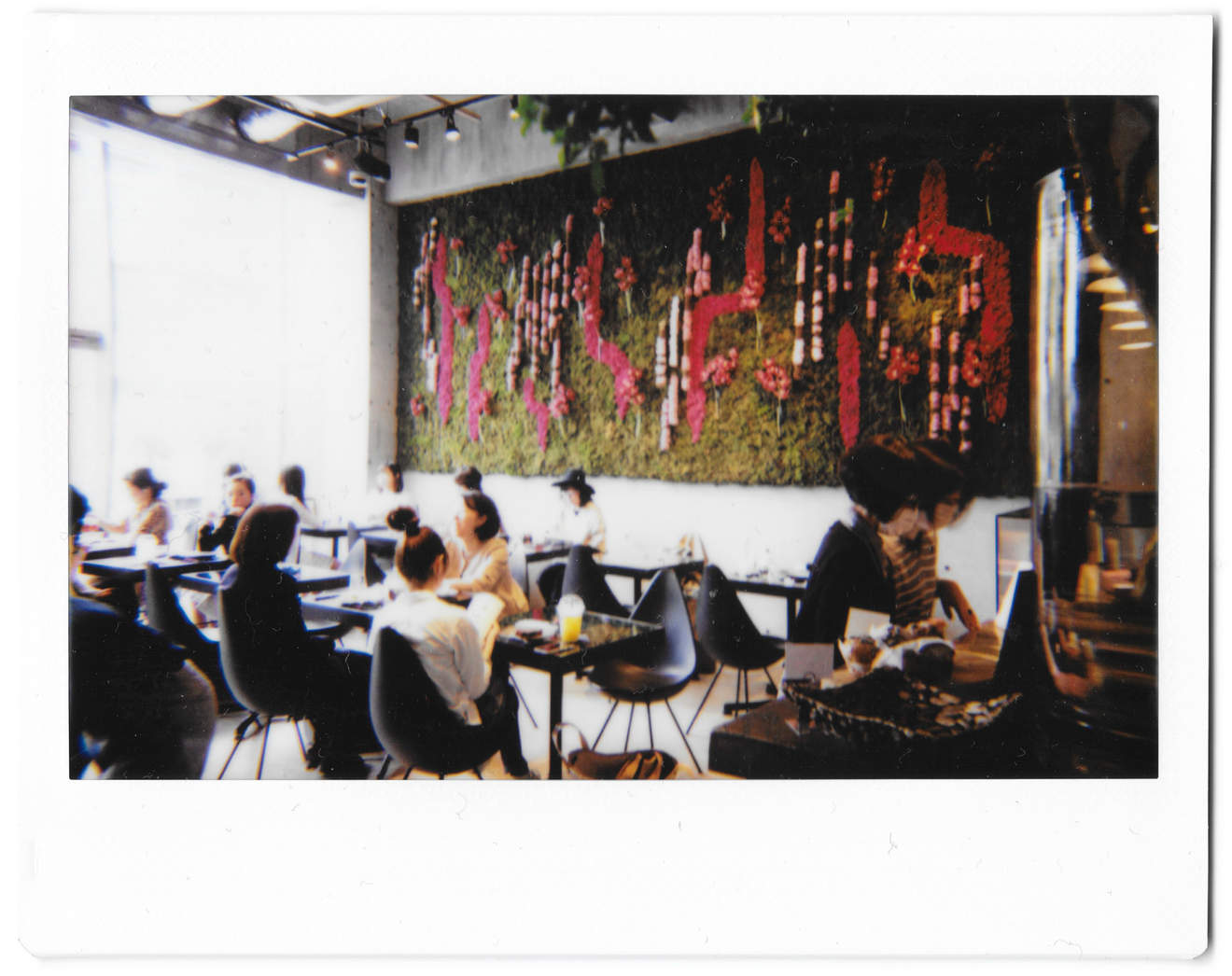 Instant photo for Day 189 of “A Year in an Instant” by Nuno Coelho Santos