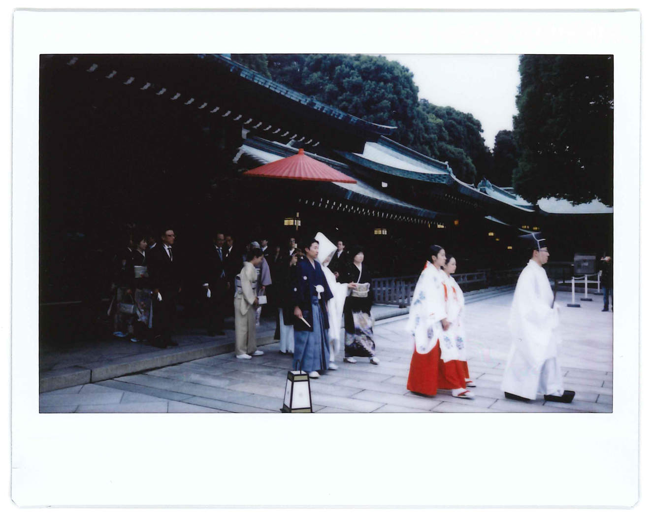 Instant photo for Day 18 of “A Year in an Instant” by Nuno Coelho Santos