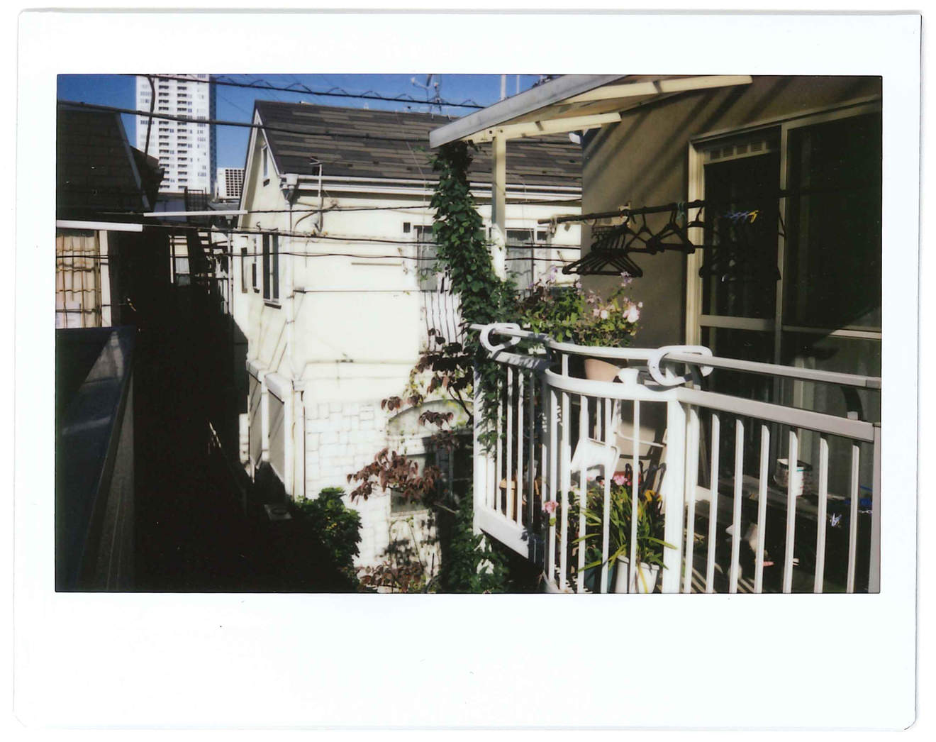 Instant photo for Day 28 of “A Year in an Instant” by Nuno Coelho Santos