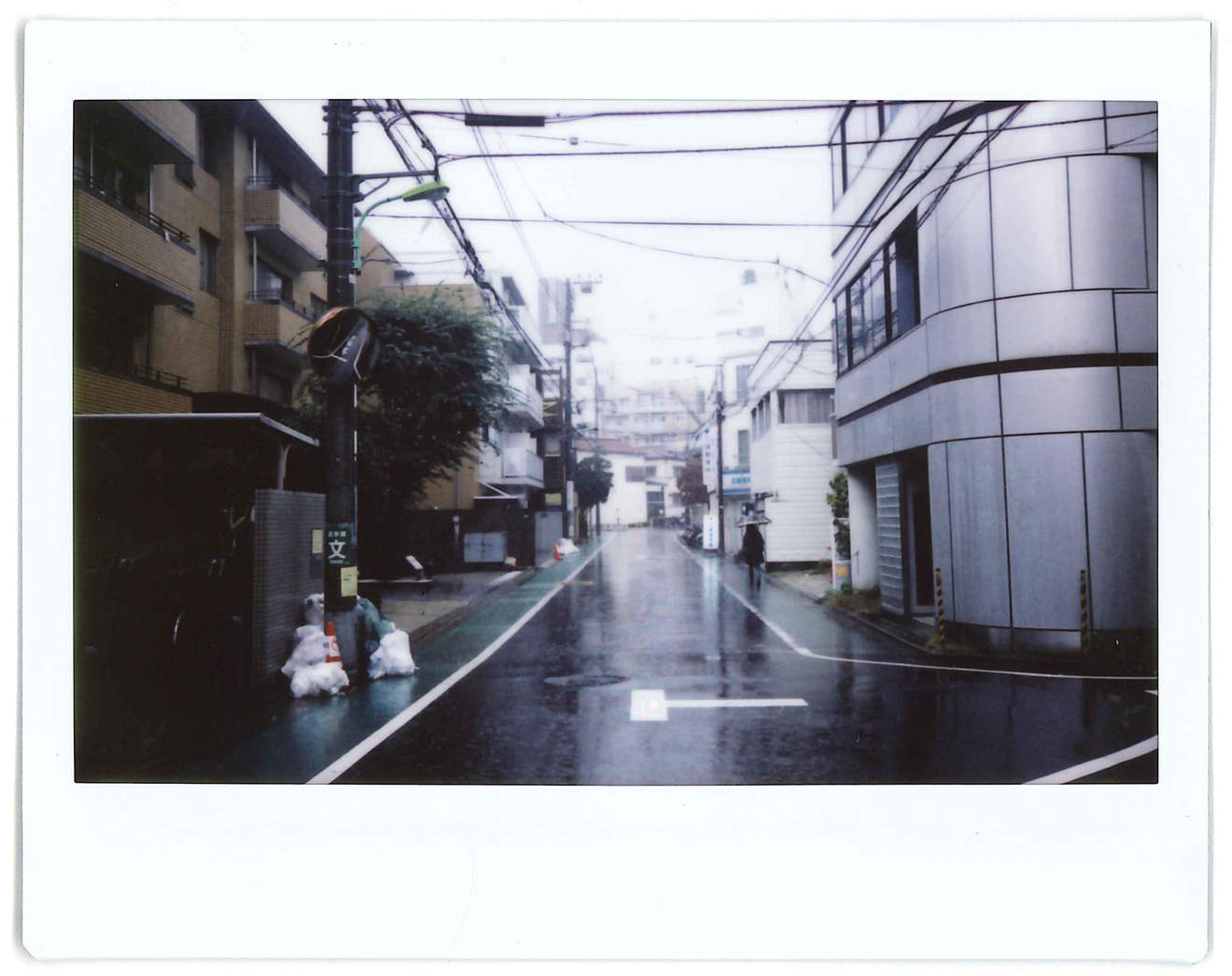 Instant photo for Day 35 of “A Year in an Instant” by Nuno Coelho Santos