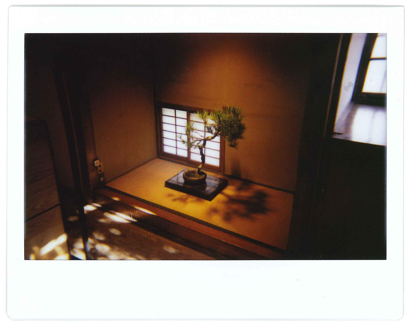 Instant photo for Day 68 of “A Year in an Instant” by Nuno Coelho Santos