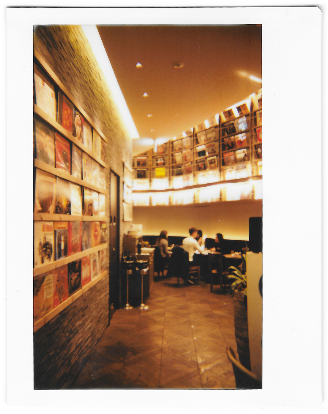 Instant photo for Day 117 of “A Year in an Instant” by Nuno Coelho Santos