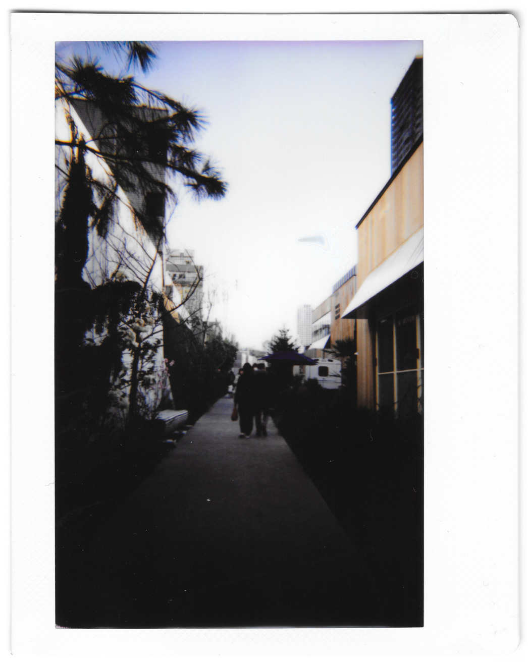 Instant photo for Day 161 of “A Year in an Instant” by Nuno Coelho Santos