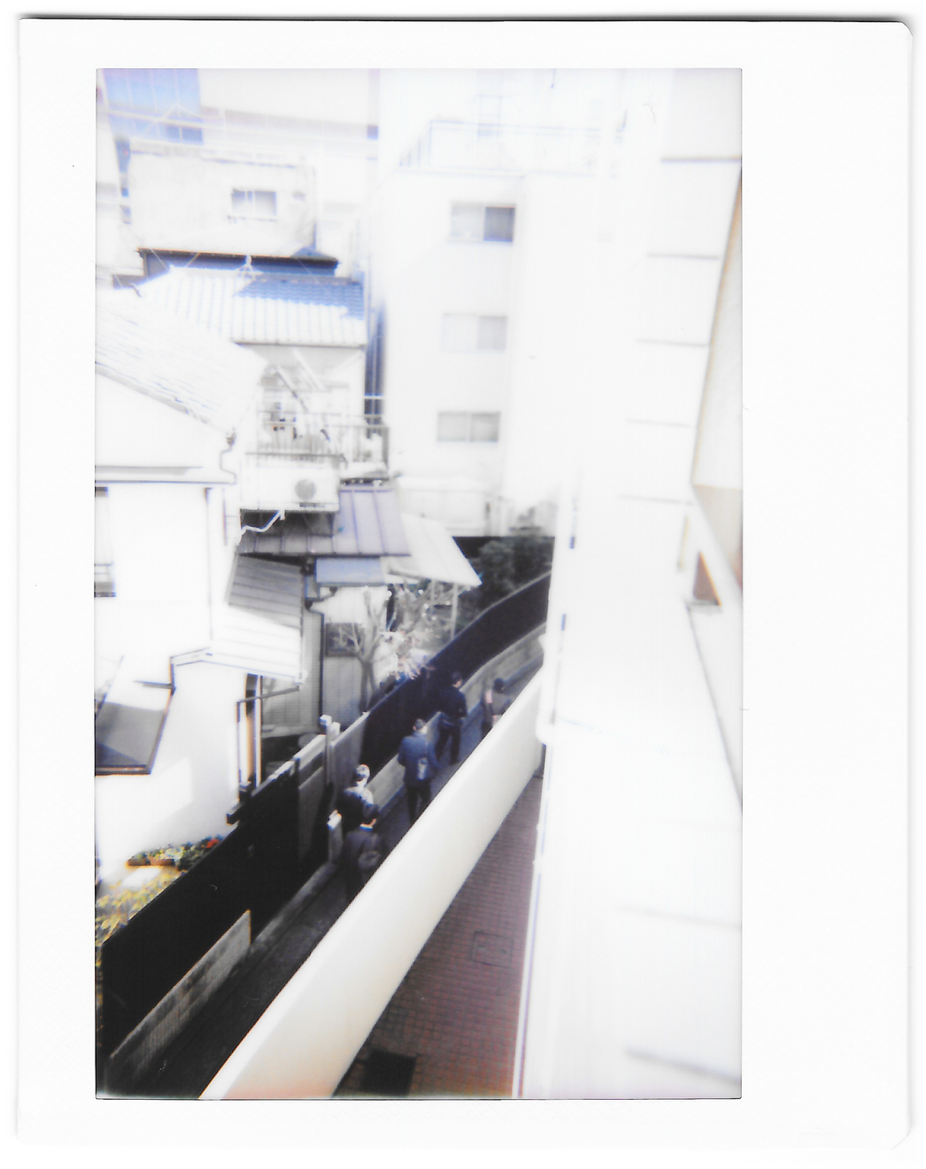 Instant photo for Day 178 of “A Year in an Instant” by Nuno Coelho Santos